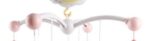 Baby Rattles Crib Mobiles Toy Holder Rotating Mobile Bed Bell Musical Box Projection Newborn Infant Baby Boy Toys