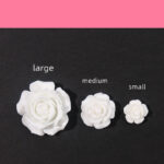 Small Upper Decoration Hole Shoes Accessories